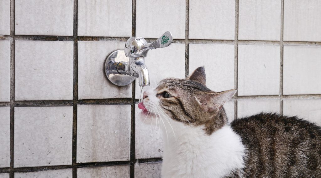 Eau du robinet:  Sonatec Natur’Ô, un système performant contre les métabolites du chlorothalonil